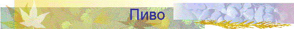 Пиво